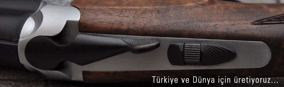 VTEM Image Show